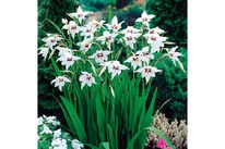 ���������� ������ 5 ��.