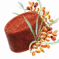 GREEN ERA GREEN ERA   ../  