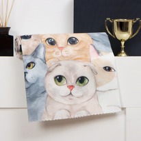 ���� �� ����� Cozy cats