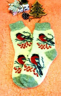 ���� �����������