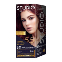 STUDIO   / 3D  5.54