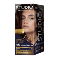 STUDIO   / 3D  4.4
