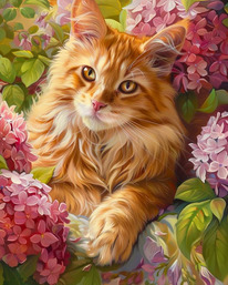    4050 / VA-4189 (.  .)