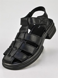 ������ _ ��������� ������� ������� Y88-3 ������