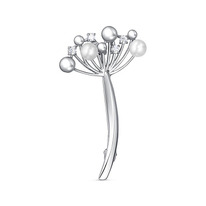 ����� ��������� ��������� � �������� � ���������