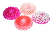 CHOCOLATTE ���� ������ 3D: �������