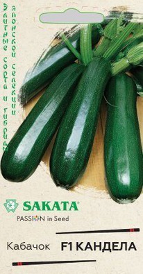 ������� ������� F1