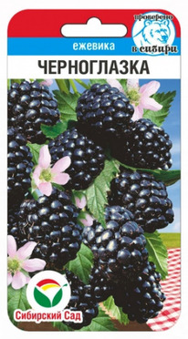 ������� �����������