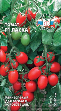 ����� ����� F1