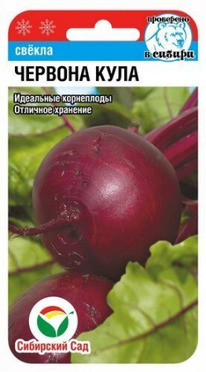 ������ ������� ����