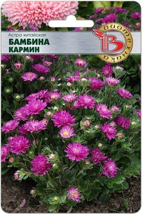 ����� ������� ������ ��������� ����������