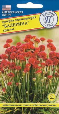 ������� �������� ������� �����������