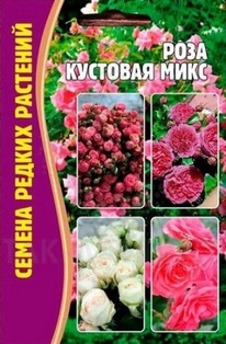 ���� �������� ���� �����������