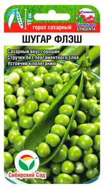 ����� ����� ����