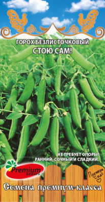 ����� ���� ��� ��������������