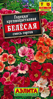 ������� ��������������� ������� �����