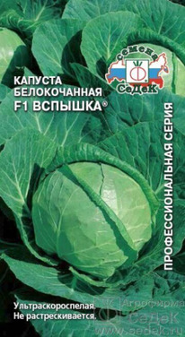 ������� ������������ ������� F1 �����������������