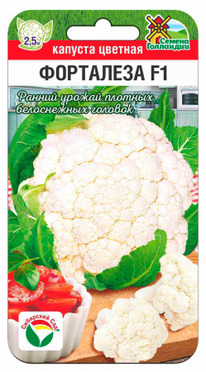 ������� ������� ��������� F1