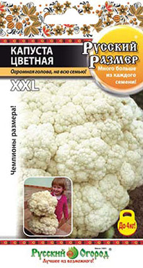 ������� ������� ������� ������