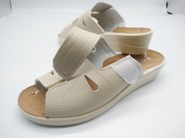 088-3 ���� �� ����������� ����