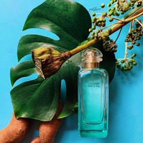 Hermes Un Jardin Sur Le Nil  25%  31.05