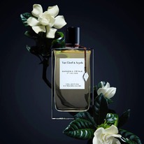 Van Cleef & Arpels Gardenia Petale  25%  31.05