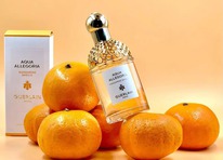 Guerlain Aqua Allegoria Mandarine Basilic  25%  31.05