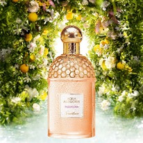 Guerlain Aqua Allegoria Passiflora  25%  31.05