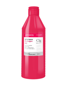 CONCEPT ProWay  /      ,