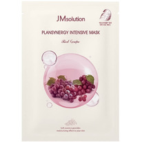       JMSOLUTION Plansynergy Intensive