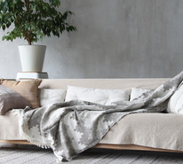 ������� ���� ��������� (70% ������) 1,5�� �������