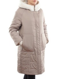 2661 BEIGE     (100 . )