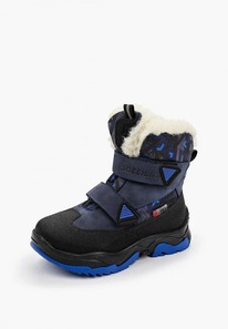 BL-244(1)_    Bottilini ,  32-37