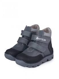 BL-271(3)_    Bottilini ,  23-26