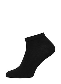     2136 CLASSIC ()    212