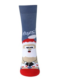     2146 CLASSIC   202146  430