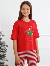 �����  ������� (��������) ������� ��������-6.1 ��-029 �������