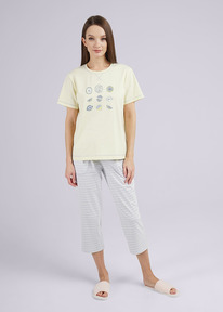 Clever   CLE LP24-1102/2 ./