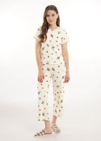 Clever   CLE LP15-1200/2 /