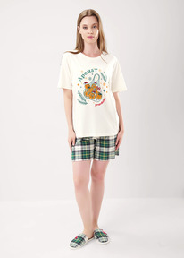 Clever   CLE LP15-1199/1 /.