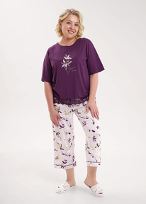 Clever   CLE LP15-1183 ./.