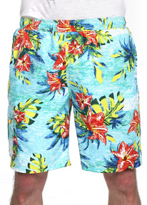 Clever   CLE 563369pk ./