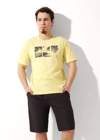 Clever   CLE MHH551220 /.