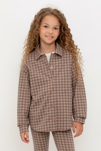 Crockid     302559/.  509