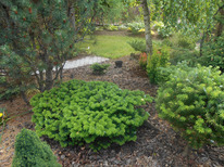 ����� ��������� ���������