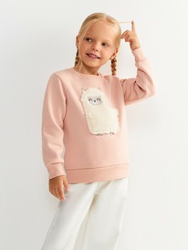 Acoola     Aist_sw 20220170148  