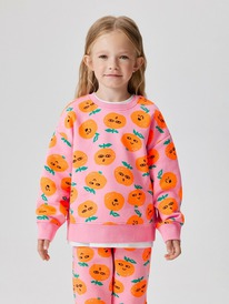 Acoola     Carife_sw 20220170166 