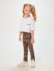 Acoola �������� ������� ��� ������� Krug 20230510025 �����������