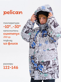 Pelican ������ ��� ��������� BZXZ3377/1 �����