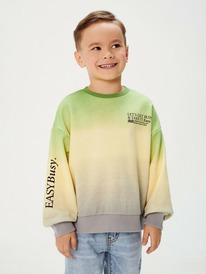 Acoola     Hawk 20130170011 